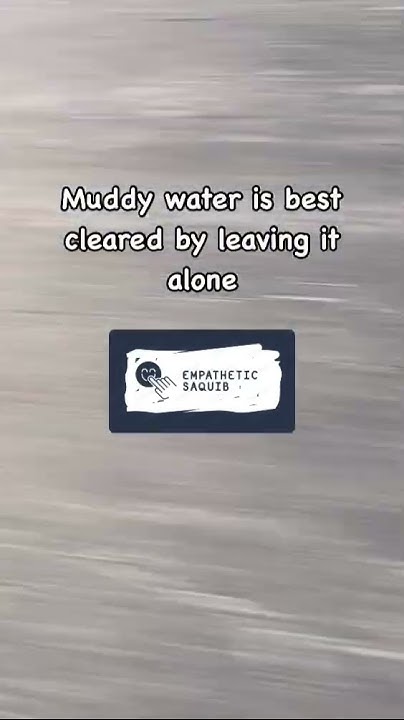 Muddy Water Is Best Cleared By Leaving It Alone YouTube muddy-water-is-best-cleared-by-leaving-it-alone-youtube