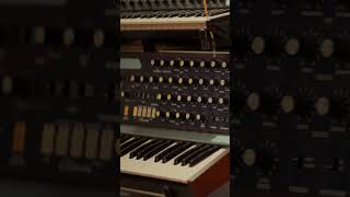 What synths are you looking to grab in 2023 ? 🎶 #synthwave #electronicmusic #musicproducer  #beats