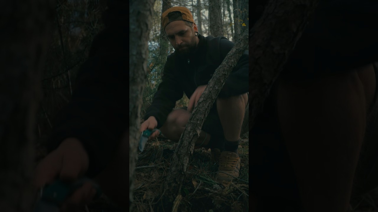 Bushcraft: I am cutting a tree to warm myself from the cold.