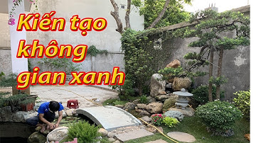 Hồ cá Koi mini: Kiến tạo không gian Xanh cùng đá cuội xinh