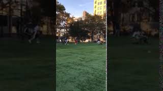 IMG 1127