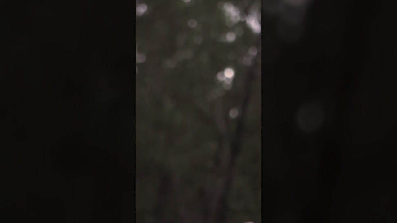 Regardez 'OUTSIDE' is out everywhere now 🤍🌿 #outside #shorts sur YouTube Regardez 'OUTSIDE' is out everywhere now 🤍🌿 #outside #shorts sur YouTube