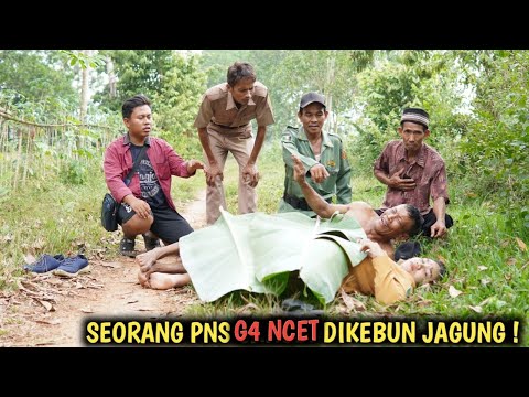 SEORANG PNS D1GR3-BEK G4NC3T DIKEBUN JAGUNG , AKHIRNYA MENYESAL SEUMUR HIDUP