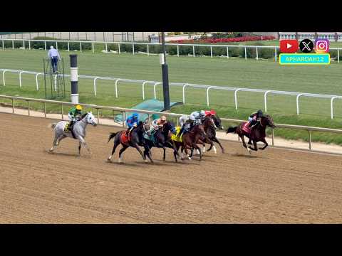 Two Breeders' Cup Champions Face Off in 2026 Shawnee Stakes