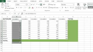 Microsoft Excel - AutoSUM Button