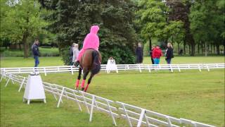 Marissa Met Unique - Kür For Fun Ch Coevorden