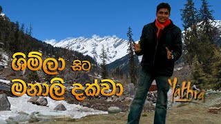 ශිම්ලා සිට මනාලි දක්වා | Travel With Chatura-India,Shimla ,Manali