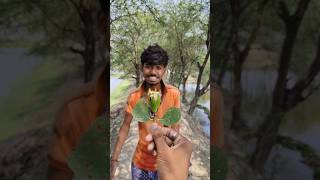 In this video, we show how to survive in the jungle without modern tools.#JungleSurvival #NatureLife