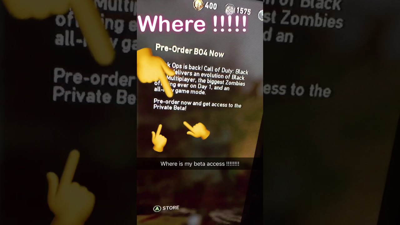 Black ops 4 beta release date