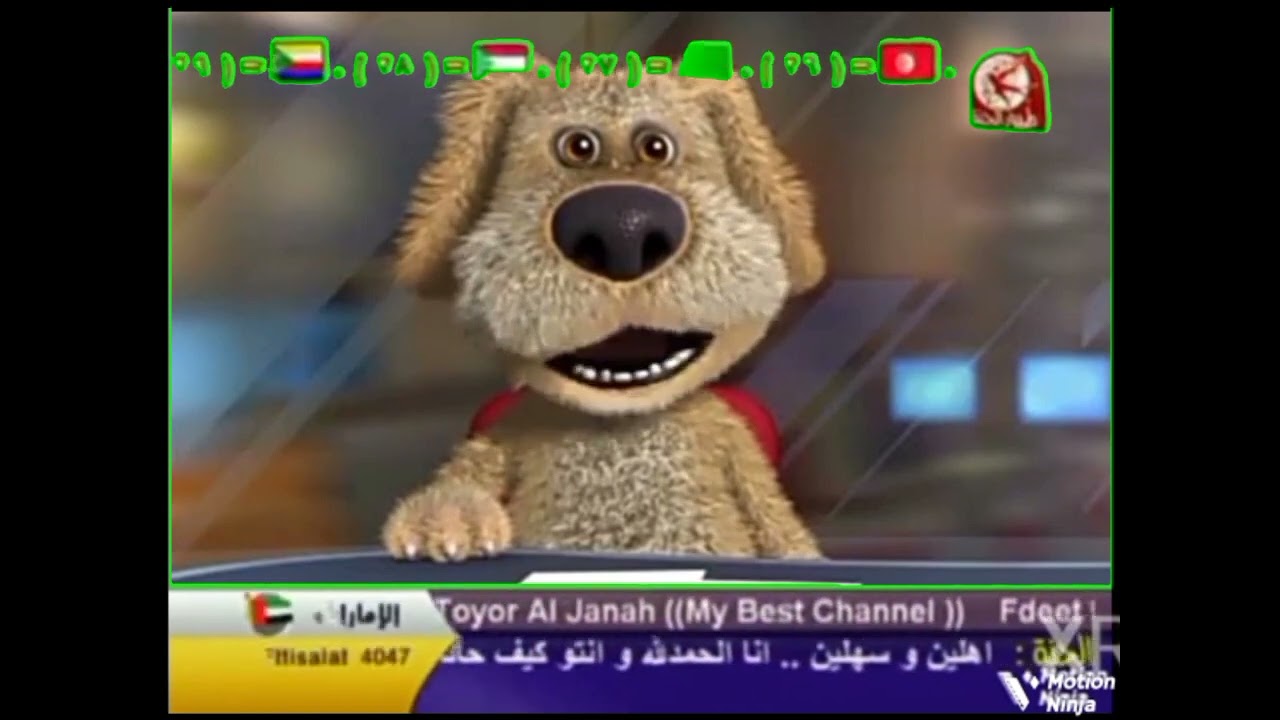 تومض بن  الأخبار طيور الجنه