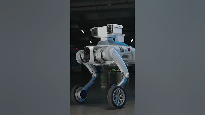 The Robot That Just Broke the Internet — Meet the PUDU D5