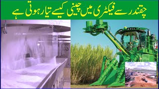 Cheeni Factory Main Kesy Tayar Hoti hai How Sugar is made From Sugarcane In Urdu & Hindi | Sugarcane
