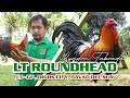 Farm visit ray alexander roundhead  mr lyndon taboada of lt farm