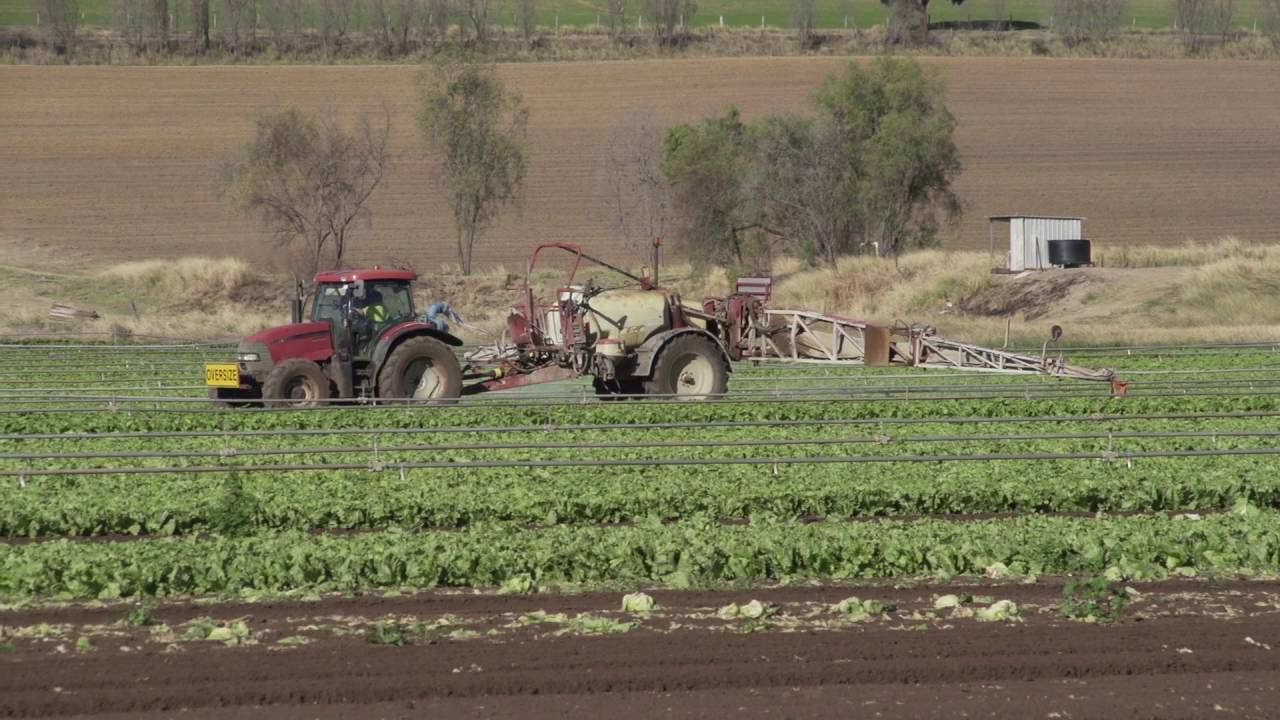 Hort360 Case Study Brock Sutton, Sutton Farms YouTube