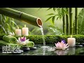 Healing Music for Anxiety Disorders 🌿 Meditation Music Relax Mind Body, Bamboo, Nature Sounds