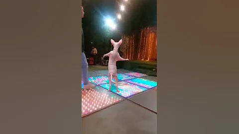 Video 6209021: sphynx cats catlovers, sphynx cat explore, sphynx catlover cute, funny sphynx cat