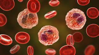 What Are Eosinophil-associated Diseases?