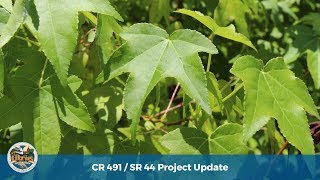 CR491 Project - Key Center