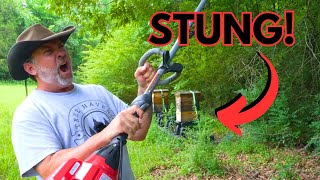 They Stung ME Twice!!! | Nowhere To Run | Sweet HONEY Is Worth It!