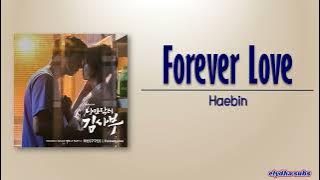 Haebin (Gugudan) – Forever Love [Romantic Doctor Teacher Kim OST Part.2] [Rom|Eng Lyric]