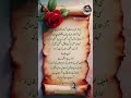 Kisi bashar me hazar khami agar jo dekho to chup hi rehna / shairy ❤️ #poetry #poetrywithazeem