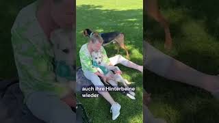 Video abspielen