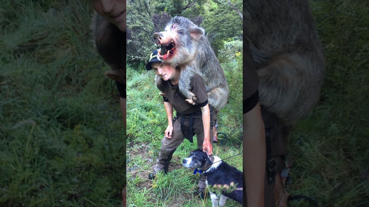 Hunting scallies