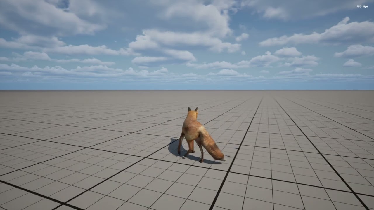 Unreal Engine 5 | Fox #1 (Basic Locomotion)