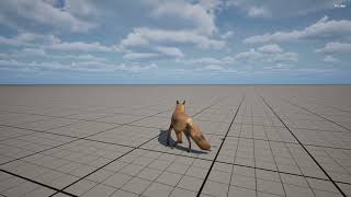Unreal Engine 5 | Fox #1 (Basic Locomotion)