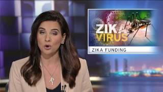 Tuesday, May 17, 2016 - Evening Edition