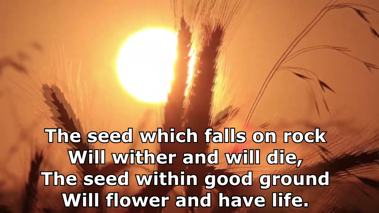 Seed Scattered and Sown - Dan Feiten