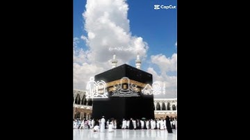 قران كريم🤍#قاطع#الكيان#الصهيوني#لاجل#غزه#العزه#لاجل#فلسطين#حره#فلسطين#تنزف 🇵🇸💚