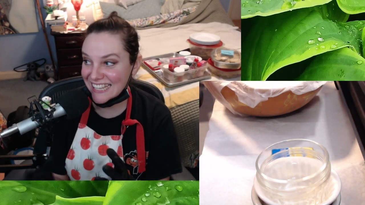 Frosting Vegan Sugar Cookies to give to my Neighbors!