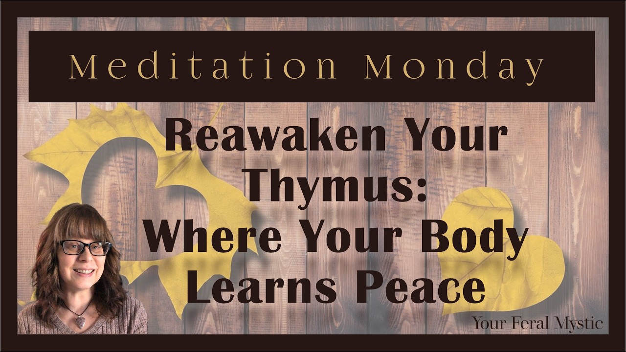 Reawaken Your Thymus: Where Your Body Learns Peace