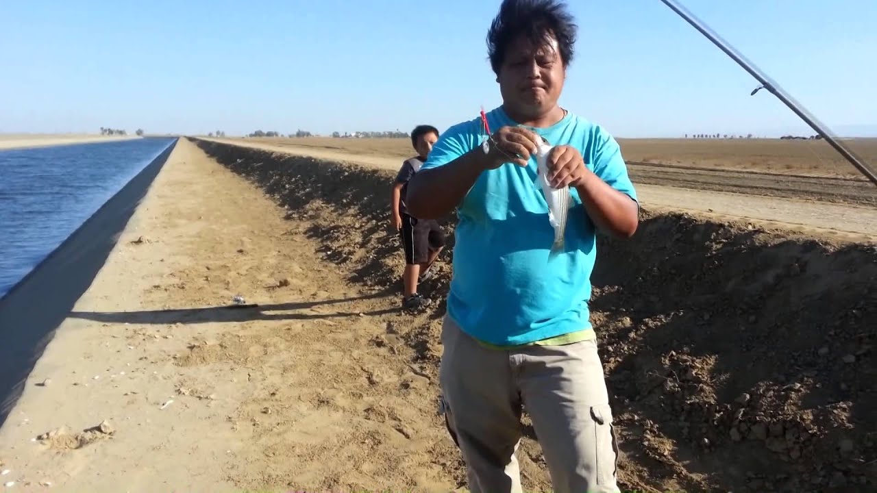 Striped Bass Fishing In Firebaugh YouTube