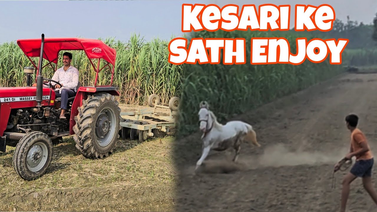 2 TRACTOR ek Khet Mein Chalaya 🔥 🚜 YouTube