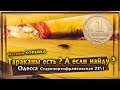 ТАРАКАНЫ ЕСТЬ? А ЕСЛИ НАЙДУ? МАГАЗИН "КОПЕЙКА"