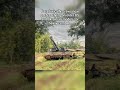 Thai Army Regrets Chinese Tank Deal? VT-4 Fails Field Tests