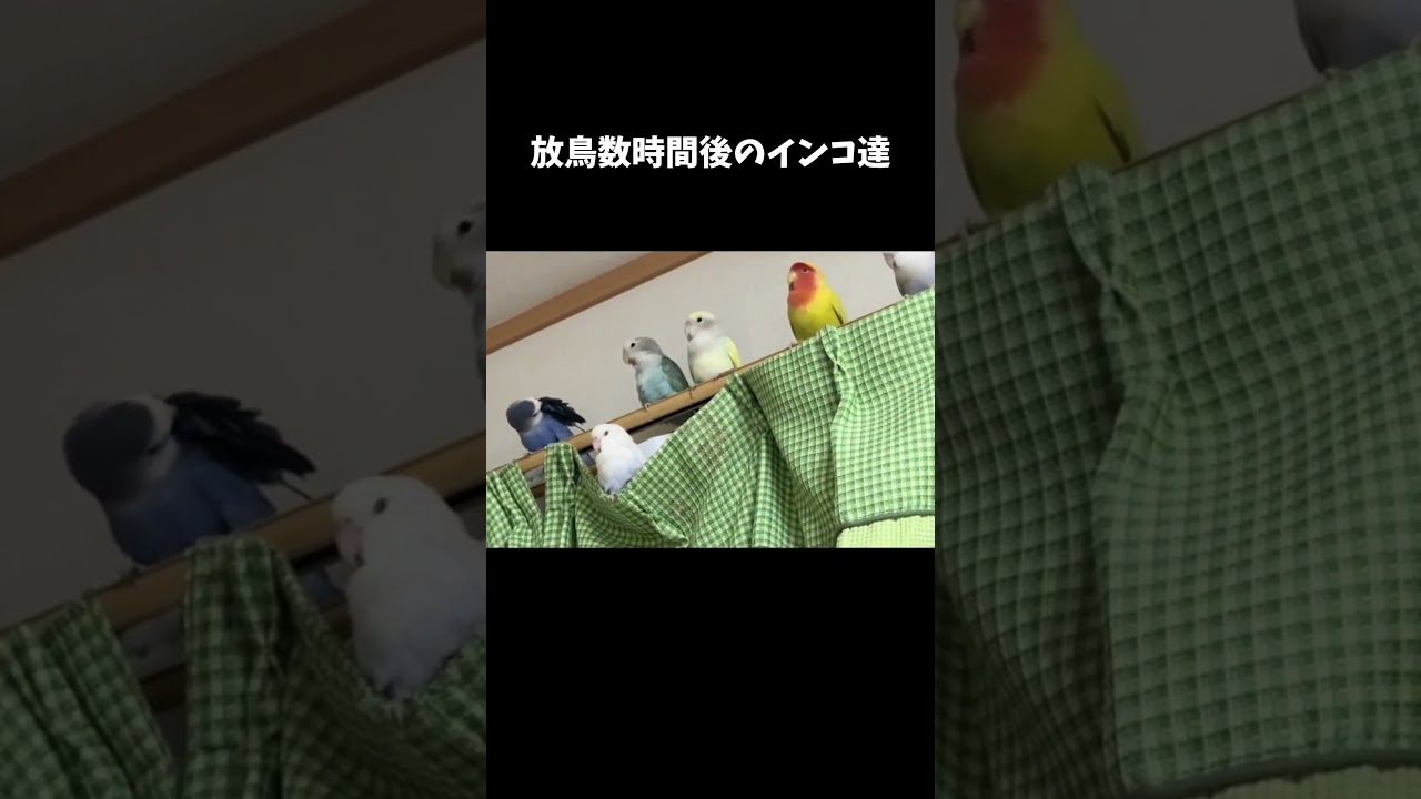 2026年5月31日