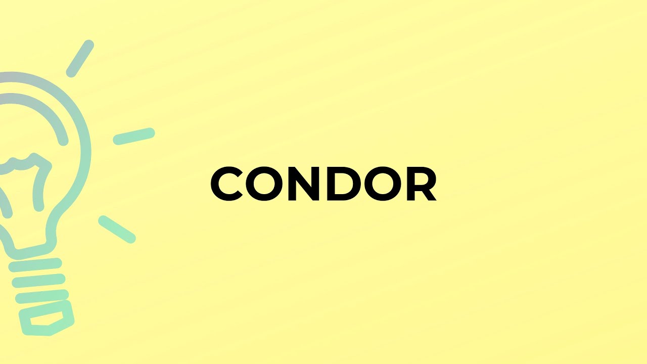 What is the meaning of the word CONDOR? YouTube