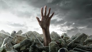 Jak Zabija Plastik, Czyli Toksyna Bisfenol-A W Twoim Ciele.