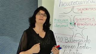 1 Aporte de la Neurociencia al aprendizaje 1 Aporte de la Neurociencia al aprendizaje