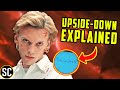 The UPSIDE-DOWN, Explained - STRANGER THINGS Theory