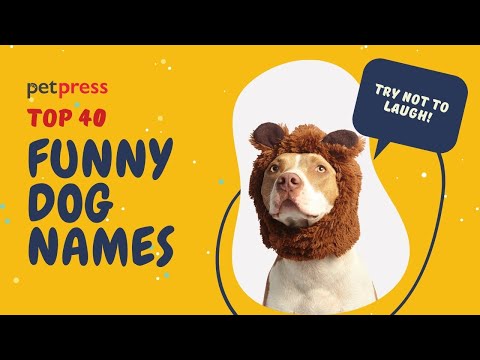 Video: Unike Pet Names: Pop Culture Edition