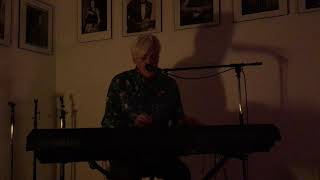 Robyn Hitchcock - The Man Who Invented Himself - Freehold NJ, November 25th 2019 chords