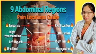 Where Does it Hurt? Mapping Abdominal Pain A Guide to Causes by Location | Abdominal Pain Explained