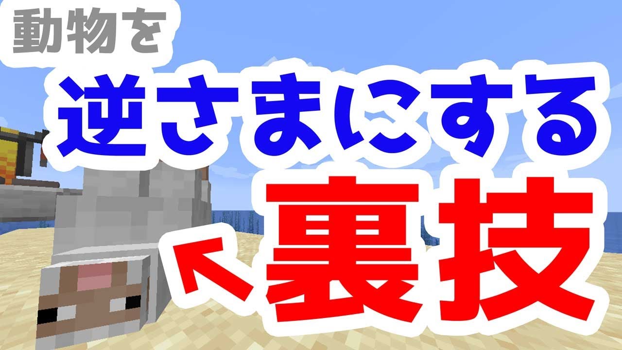 マイクラ 名札の使い方 最初にする事と 名前の付け方 裏ワザ３つ 脱 初心者を目指すマインクラフト