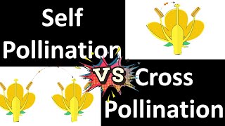 Difference between self pollination and cross pollination | ABT Gurukul