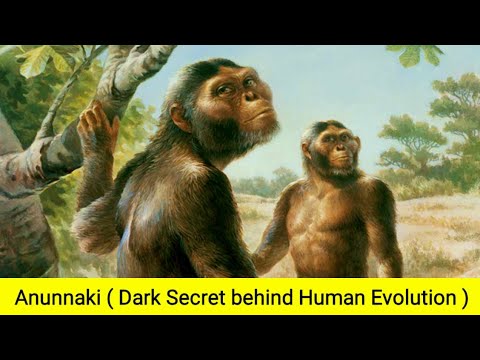 The Untold Secret Story About Human Evolution | The Anunnaki Creation ...