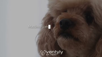 copy_152C4D9F-293E-4016-B3AC-603126476035.mov